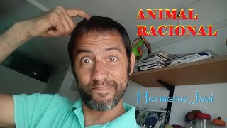 ANIMAL RACIONAL  Hermano Javi [upl. by Akeryt741]