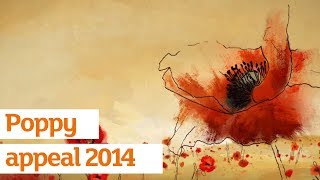 Sainsburys and The Royal British Legion Poppy Appeal  Sainsburys Ad  Autumn 2014 [upl. by Qiratla542]