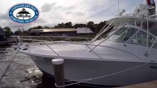 SOLD — Luhrs Sportfish [upl. by Broucek167]