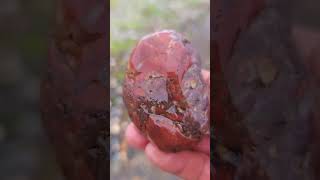 californiarockhounding agates jaspers riverrocks beautifulrocks [upl. by Rehpotsirk]