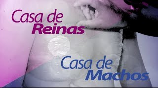 Casa de reinas casa de machos  Testigo Directo HD [upl. by Ykroc]