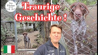 Reisebericht Italien  🇮🇹  Felsenstädte in der Toskana  Armer Hund  Ralf wandert alleine 1024 [upl. by Ilyak935]