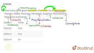 How many in the given examples of animals are Coelenterates Physalia Obelia Plannaria Pennat [upl. by Nowujalo242]