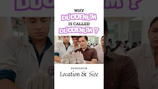 Why duodenum is called duodenum Length of different parts of duodenum duodenumanatomy [upl. by Enahc]