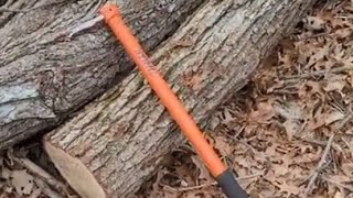 Stihl Hookaroon Review After 4 years [upl. by Tdnerb]