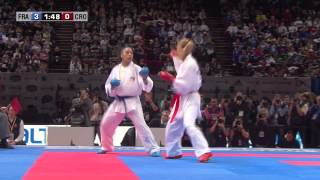 Final Female Kumite 55kg Lucie Ignace vs Jelena Kovacevic World Karate Championships 2012 [upl. by Erica798]