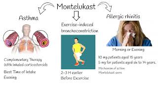 Montelukast  Indications side effects Singular indications [upl. by Yentterb]