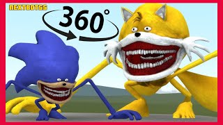 NEW SIZE COMPARISON ZOOCHOSIS SONICTAPES FAMILY in Garrys Mod [upl. by Alludba]