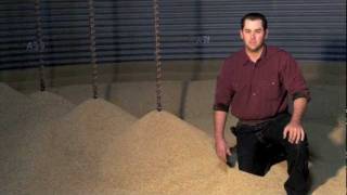 Inside a California Rice Grain Bin [upl. by Fonzie]