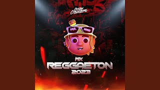 Mix Reggaeton 2023 [upl. by Erna836]