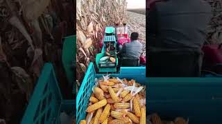 Agriculture farm shortsautomobile video [upl. by Photima446]