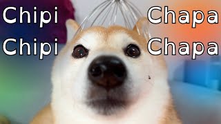 Chipi Chipi Chapa Chapa Dubi Dubi Daba Daba Doge [upl. by Tekcirc]