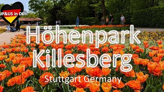 【Stuttgart】🇩🇪A spring day at Höhenpark Killesberg  Nature amp Enjoy in Stuttgart Germany [upl. by Ace35]