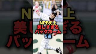 NPB史上美しすぎるバックホーム5選プロ野球 阪神タイガース 横田慎太郎 野球解説 [upl. by Ydne474]