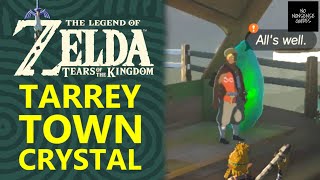 What to Do With Tarrey Town Crystal in Zelda Tears of Kingdom  Jochi Ihiga Shrine [upl. by Leva]