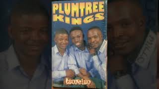 Plumtree kings  Sibuyile [upl. by Derreg3]