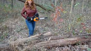 WORX 40V Power Share 14quot Cordless Chainsaw w AutoTension Review [upl. by Phyl]