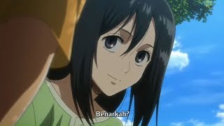 Mikasa BackStory Cerita masa lalu sub indo [upl. by Anillek]