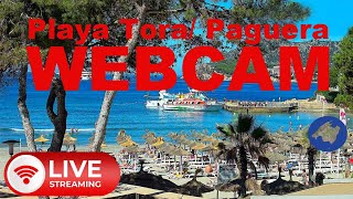 LIVE WEBCAM Paguera Tora Beach 4K UHD 247 from Mallorca stream livestream mallorca baleares [upl. by Annohs]