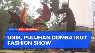 PULUHAN DOMBA PETERNAK IKUTI KONTES FASHION SHOW [upl. by Deloris269]