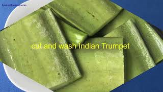 Indian Trumpet And Asian Recipes [upl. by Marilyn]