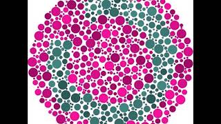 Color blind test as a color blind people see [upl. by Ahsiekan]