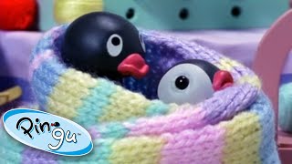 Pingu And His Daily Adventures Pingu Cartoons For Kids [upl. by Johnsten593]