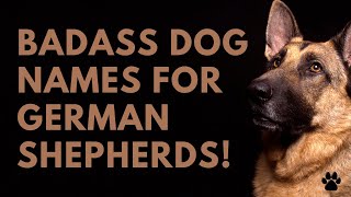 🐶 Badass Dog Names 🐾 For German Shepherds 🐾 36 TOP  Names [upl. by Toft]