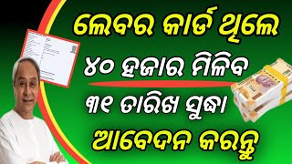 odisha labour card online applyHow to labour card online applyHow to onlin labour cad scholarships [upl. by Maddalena]