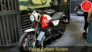 2024 AMAZING SCRAMBLER MOTORCYCLES TOP 10 [upl. by Munn]