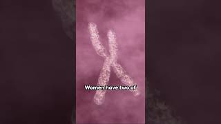 Unraveling the Mysteries of XChromosomal DNA [upl. by Namielus636]