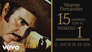 Vicente Fernández  El Amor de Mi Vida Tema Remasterizado Cover Audio [upl. by Attayek]