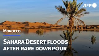 Rare Sahara floods bring Moroccos driedup south back to life  AFP [upl. by Ecienahs]