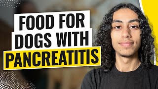 Food For Dogs with Pancreatitis 2024 [upl. by Aidnic]