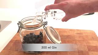 Sloe Gin 2 ways Tradition prick or quick freeze technique [upl. by Rubina]