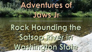 Rock Hounding the Satsop River in Washington State [upl. by Cleary]