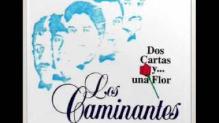 LOS CAMINANTES  EL AMOR NO ES PECADO [upl. by Asined]