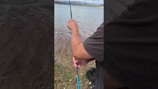 Here Is Seven Fishing At Awesome Antero Reservoir In Hartsel Colorado fishing shorts world [upl. by Lowis]