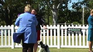 19 August 18 Junior Handlers Final at Durack [upl. by Htebzile108]