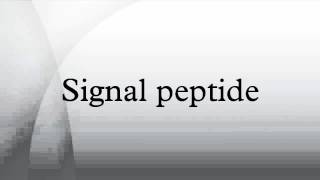 Signal peptide [upl. by Annawat128]