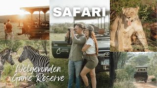 SAFARI in SÜDAFRIKA 🇿🇦  Ablauf Anreise Tipps [upl. by Leo184]