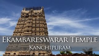 EKAMBARANATHAR or EKAMBARESWARAR TEMPLE KANCHIPURAM [upl. by Vocaay]