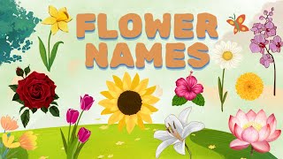 Lets Learn Flower Names  Fun and Educational Video for Kids  Early Learners Quest [upl. by Durarte]