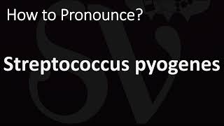 How to Pronounce Streptococcus pyogenes CORRECTLY [upl. by Wilkie]