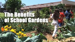 The Benefits of School Gardens [upl. by Inad]