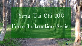 2593 Yang Tai Chi 108 Form Diagonal Flying [upl. by Shepherd]