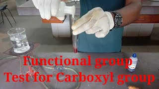 Test for carboxyl group Functional group class 12 chemistry practical file [upl. by Enrichetta482]