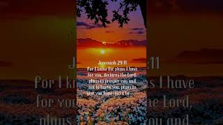 For I know the plans I have for youJeremiah 2911 spiritualgrowth [upl. by Sanoj]