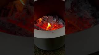 Muskoka 195quot Stainless Steel Smokeless Wood Burning Fire Pit Testing [upl. by Suehtomit]