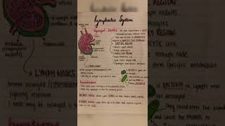 Lymphatic system [upl. by Neelav]